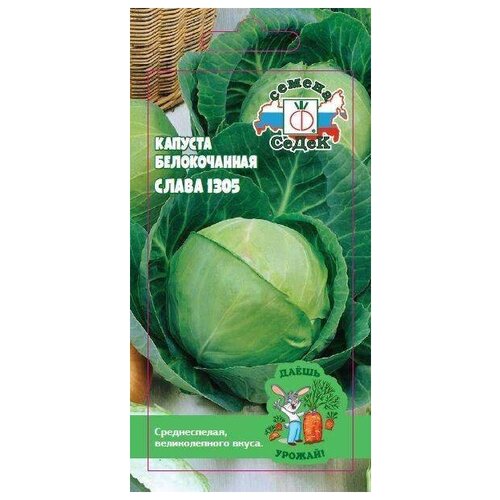 ������ ������ ������� ������������ ����� 1305 ����