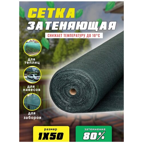 ������ ������ ����� ���������� �������, ��������� 85%, ������ 1,1�50� ����