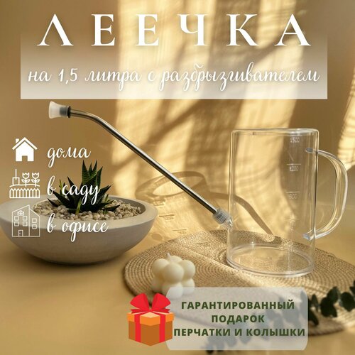 ������ ������ ����� ��� ������ 1,5 ����� ����