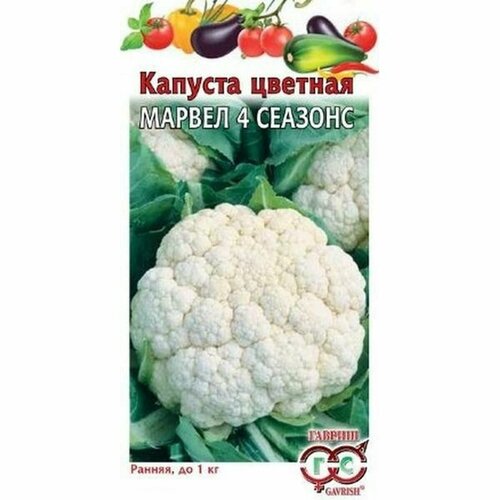 ������ ������ ������ ������� ������� ������ 4 �������, �����������, (������) 0,3� ����