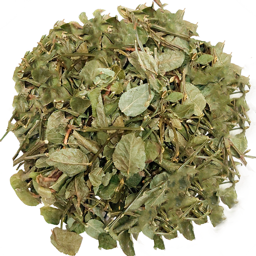 ������ ������ �������, ������ � ������ 15�. ����