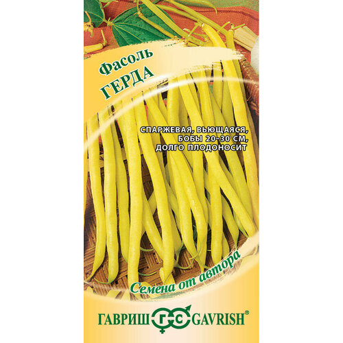 ������ ������ ������ ������ ����� ������ �������� ��������� 5� ������ (������) ����� ����