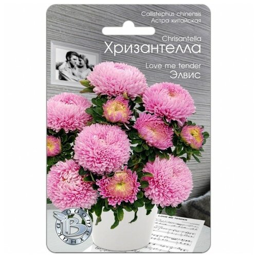 ������ ������ ������ ����� ��������� 