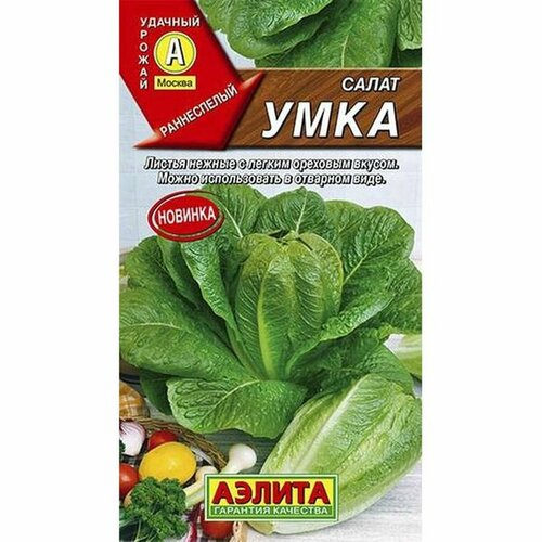 ������ ������ ������ ����� ����, �����������, (������) 0,5� ����