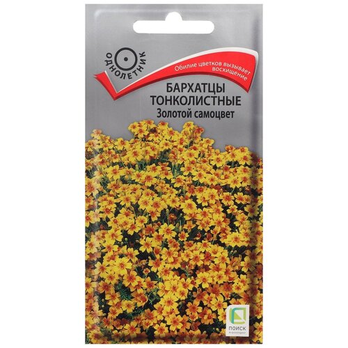 ������ ������ ������ ������ �������� ������������ ������� �������� 0,1 � ����