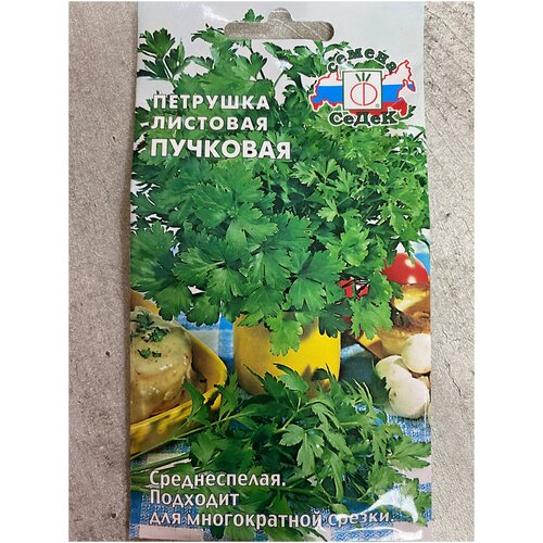 ������ ������ �������� �������� ��������, ������ ( 1 ��: 2 � ) ����