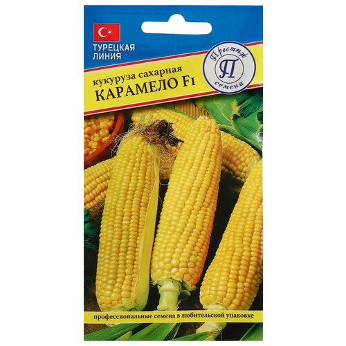 ������ ������ ������ �������� 