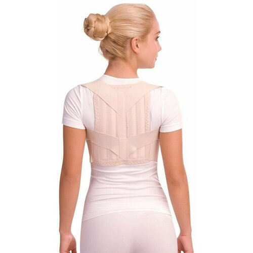 ������ ������ ��������� ������ Trives �.54.01 (�-1778) ������ M ����