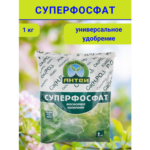 ������ ������ ��������� ����������� �������, � ��������� ��������1 �� ����