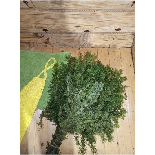 ������ ������ ����� �������� ����