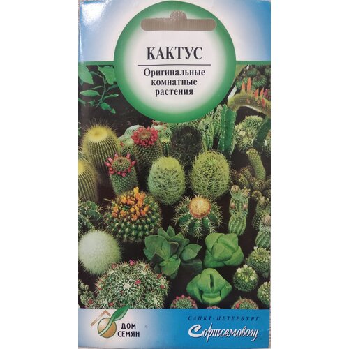 ������ ������ ������ �����, ��������� ��������, 25 �� ����� ����