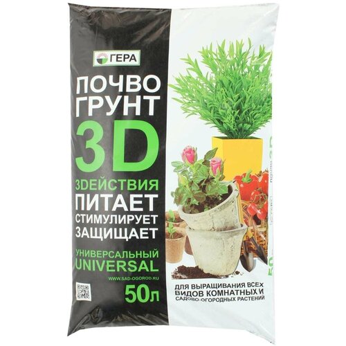 ������ ������ ���� ����� 3D 50� ����