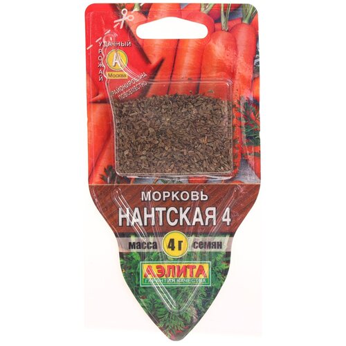 ������ ������ ������ ��������� ������ ������ ���� ������� �������� 4, 4 � ����