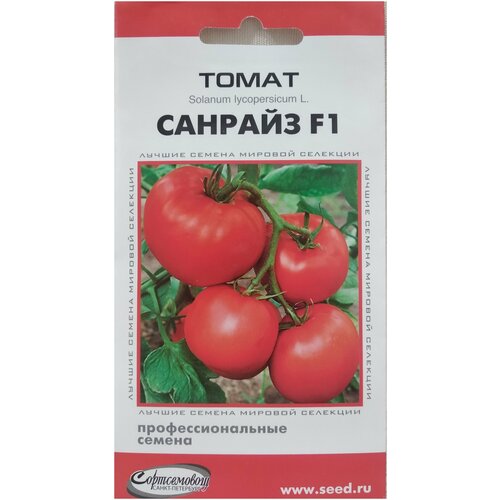 ������ ������ ����� ������� F1, 10 �� ����� ����