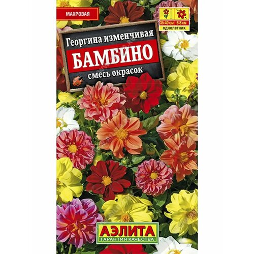 ������ ������ �������� �������� 