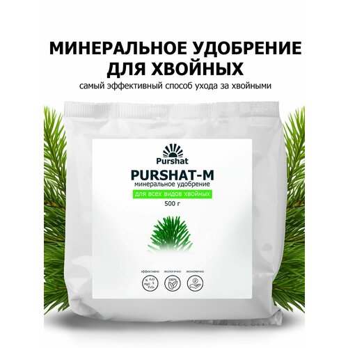 ������ ������ ��������� ������ ����������� ��� ������� �������� 500 �� ����