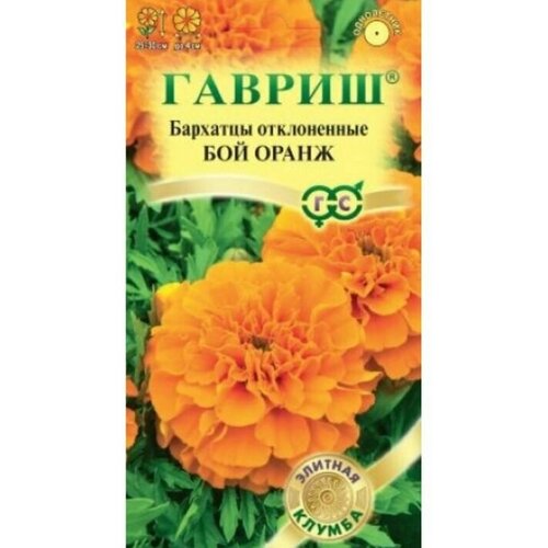 ������ ������ �������� ����������� �������� ��� ����� ( ��) ����