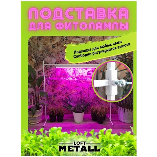 ������ ������ ��������� ��� ��������� 125, ��������� ��������������� ����