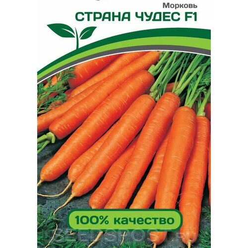 ������ ������ ������ ������� ������� 