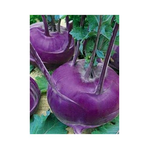 ������ ������ ������ ������� �������� ������� ������� 0.3� (������) ����� ����� ����