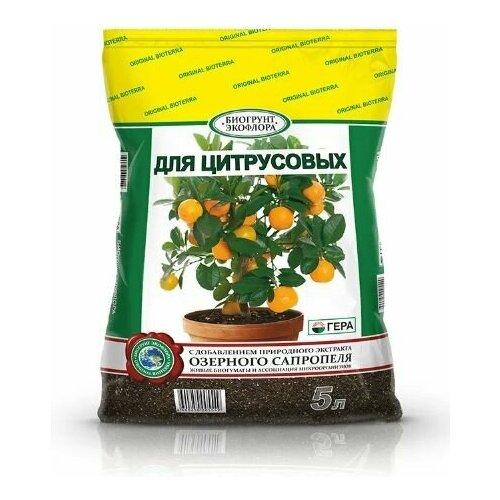 ������ ������ ����� ��� ���������� 5 � ���� ����