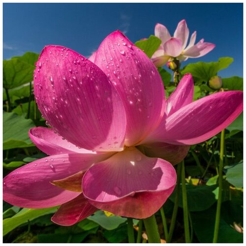 ������ ������ ������ ������ ����� ����������� 5 ��. ����