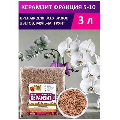 ������ ������ ������ �������� 