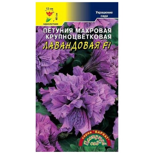 ������ ������ ������ �������� ��� 