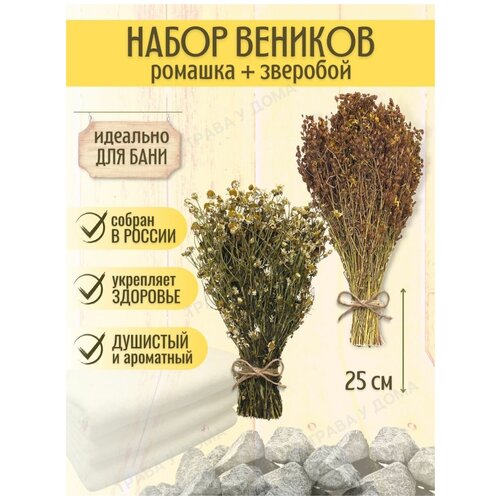 ������ ������ ������ ��� ���� �� ������� � �������� 2 �� ����