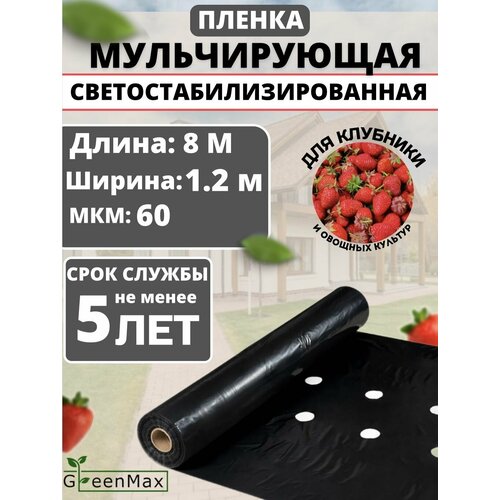 ������ ������ ������ ������������ ��� �������� ����