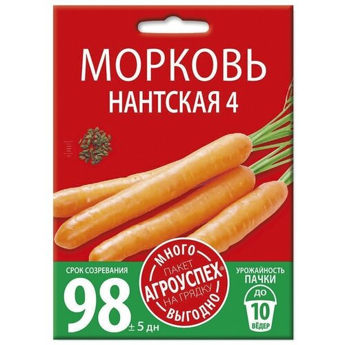 ������ ������ ������� �������� 4, ������ ��������� �����-������� 6� ����