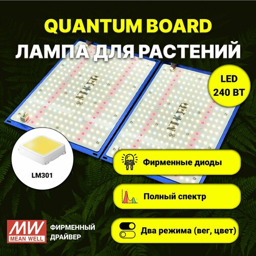    / quantum board c  LM-301,  240 , Mean Well, 5000,     -     , -,   