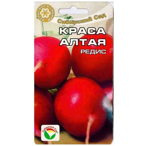 ������ ������ ����� ����� ����� ����