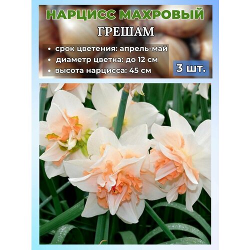 ������ ������ ������� ��������. �������� 3 ����� ����