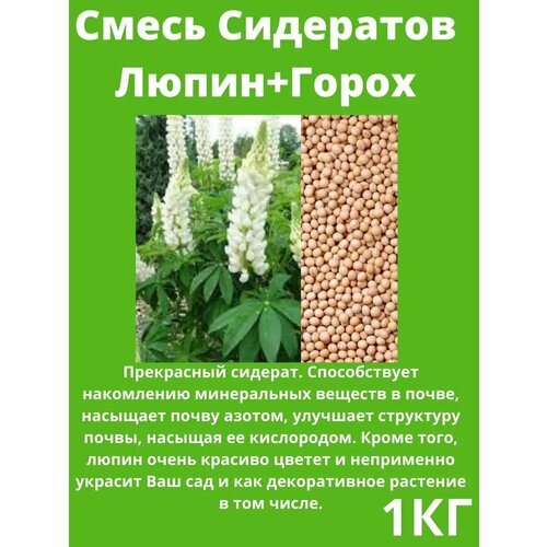 ������ ������ ������ ��������� �����+����� 1 �� ����