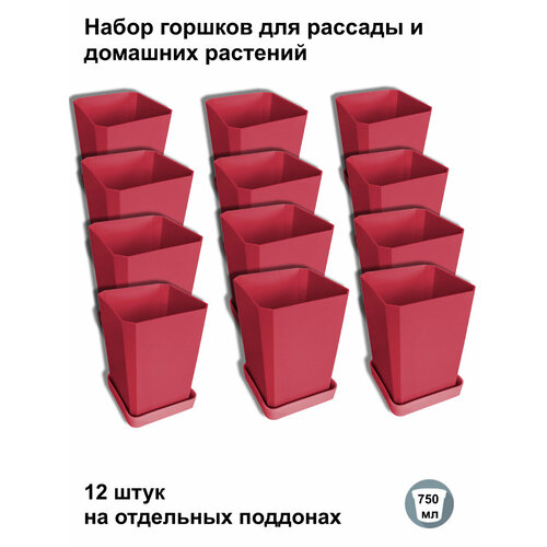 ������ ������ ������ ��� ������� � ������, 12 ���� �� ��������� ��������, ����������� ���� ����