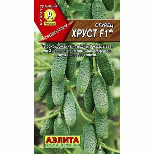 ������ ������ ������ ������ ����� F1 ��, ������������, (������) 10�� ����