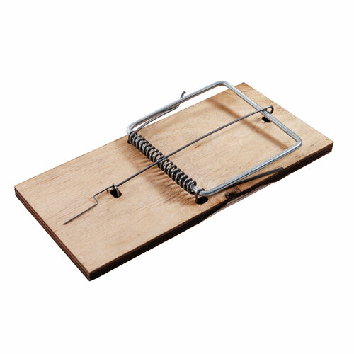 ������ ������ ���������� ���������� 85 � 155 ��, Mr. Mouse ����