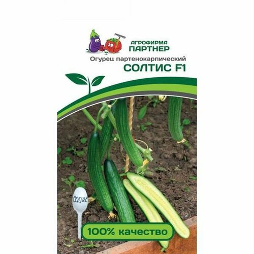 ������ ������ ������ ������ ������ F1 ����. ��. (��������� �������) 5�� (2-��� ���.) ����