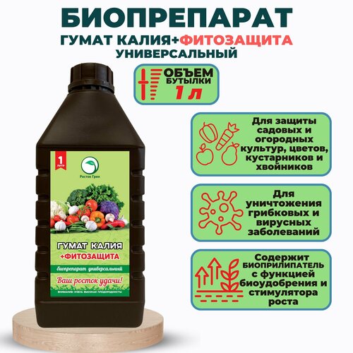 ������ ������ ����� ����� ������ + ����������. ����������� ������������� 1�. ����������� �����������, �������� ���� � ������� ��� ������, �������� ��������� �������� � ���������� � ���������. ����