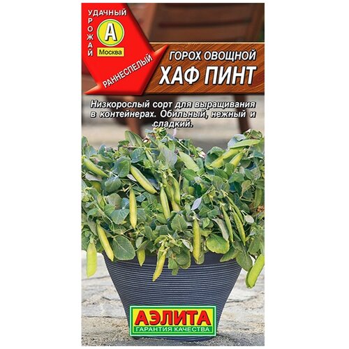 ������ ������ ����� ��� ������� ������� ��� ���� (����� 5��.) ����