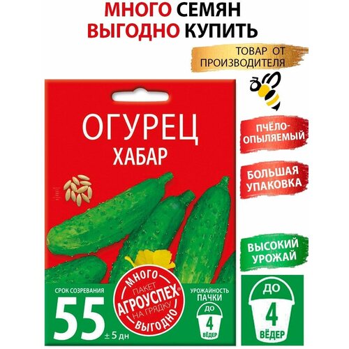 ������ ������ ������ �����, ������ ��������� �����-������� 3� ����