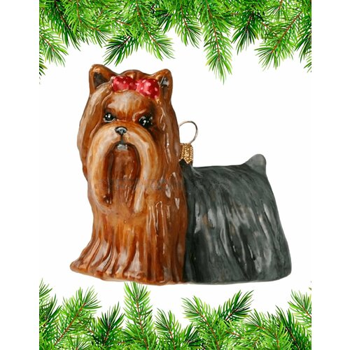 ������ ������ ������� �� ���� ����� Komozja Family ����