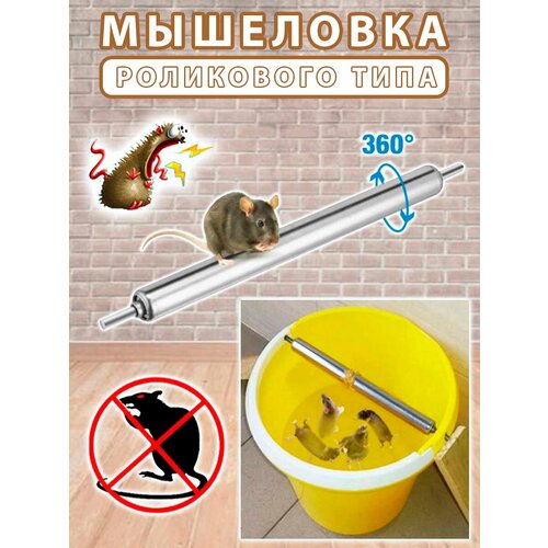 ������ ������ ��������� ���������� ����, ��������� �� ����� ����