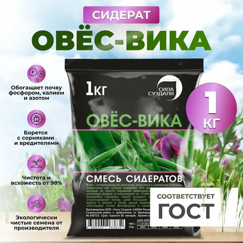 ������ ������ �������, ����� ��������� ���� ������� /������� ���������, 1 �� ����