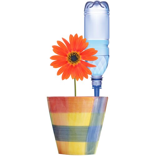 ������ ������ ��������� Protex 