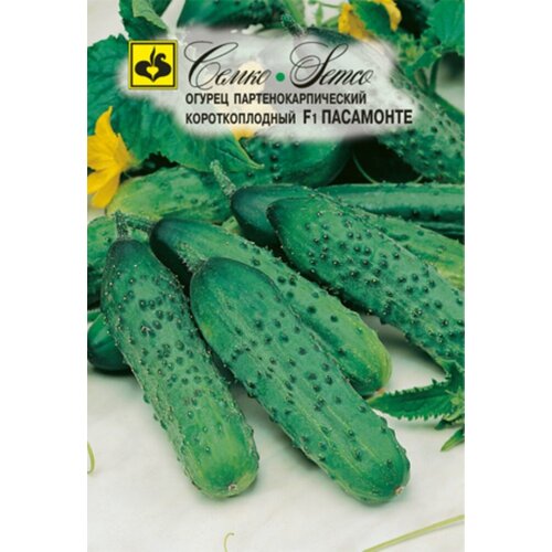 ������ ������ ������ ������ ��������� F1 10�� ������������������ ������ (�����) ����