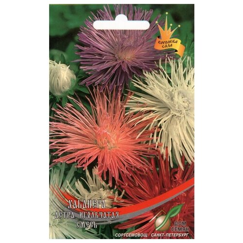 ������ ������ ����� ���������� ��������, 100 ����� ����