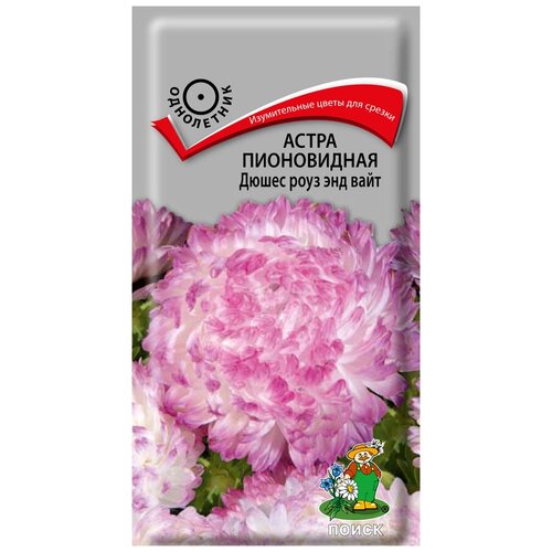 ������ ������ ����� ����������� ����� ���� ��� ���� ����