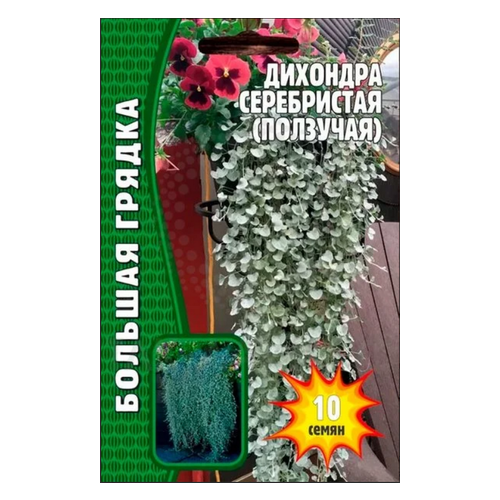 ������ ������ ������ �������� 